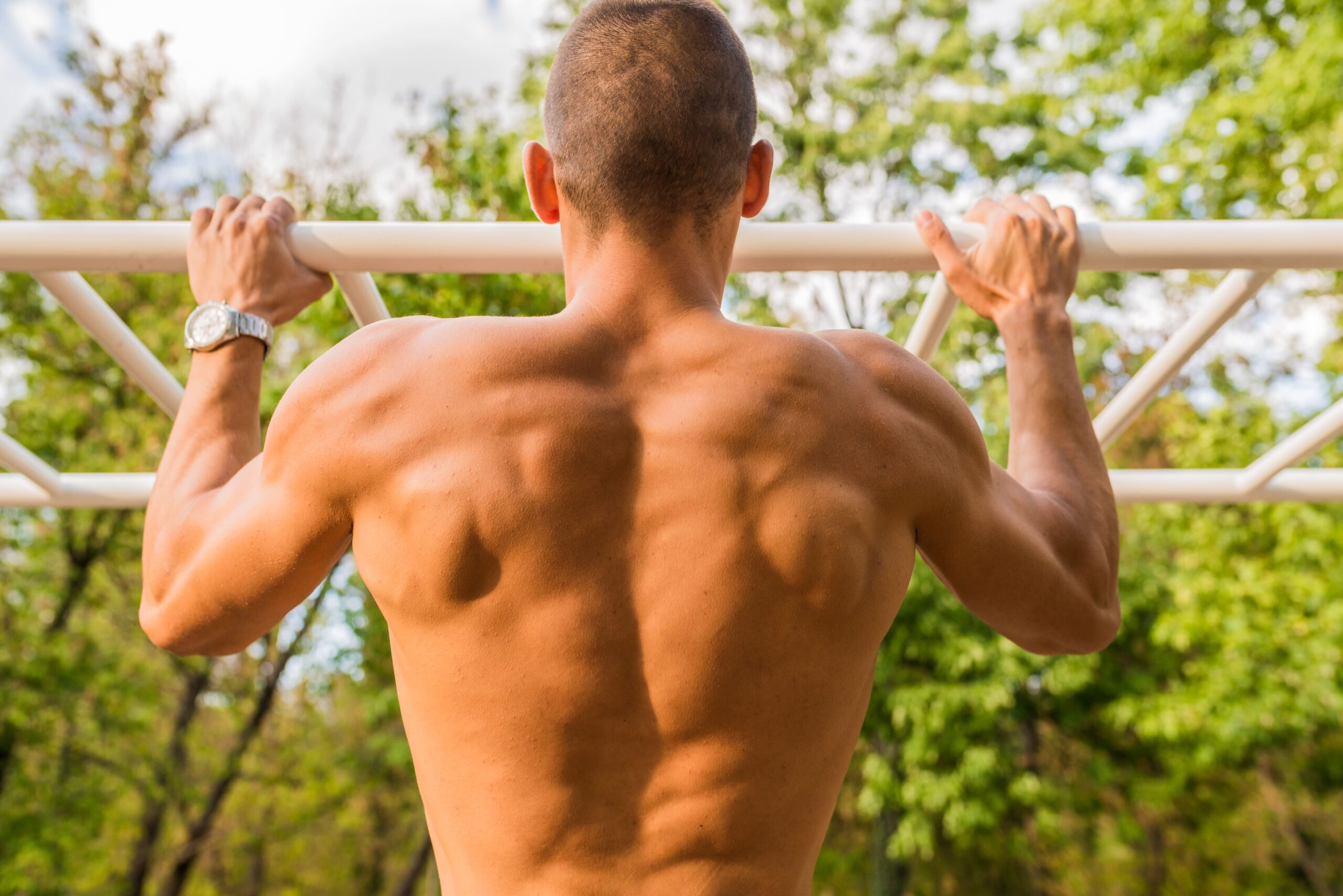 fortalecimiento de espalda